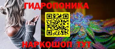 apvp Обь