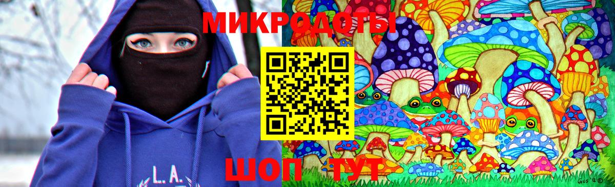 Галлюциногенные грибы Psilocybine cubensis Тула